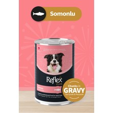 Ertürk Store Plus Sos Içinde Et Parçacıklı Somonlu Yetişkin Köpek Konservesi 400 G