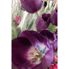 Ertürk Store Çiçekli Günlük Defter
