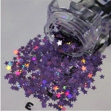 Ertürk Store Yıldız Desenli Işıltılı Nail Art Pulları