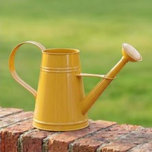 3 Litre Metal Sulama Kabı, Modern Tasarım ile Bahçenizi Şık Hale Getirin