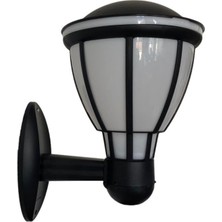Zita Kupa Bahçe Duvar Apliği 37 cm | E27 Duy | IP54 Dış Mekan Duvar Lambası | Uv Protection | Bahçe, Teras, Veranda ve Yürüyüş Yolu (Ampul Hariç)