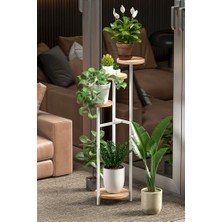 Ertürk Store Raflı Çiçeklik Saksılık 4 1481 Beyaz Yuvarlak Uzun Saksı