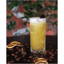Ertürk Store 52820 Timeless 295 cc 6'lı Long Drink ve Kokteyl Bardağı FAYA00001079