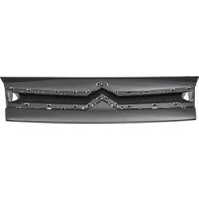 BSG Citroen Berlingo 2008-2012 Ön Panjur (Oem No: 7804.S9)