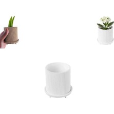 Ertürk Store Özel Baskı Raf Masa 3D Beyaz Ayaklı Saksı