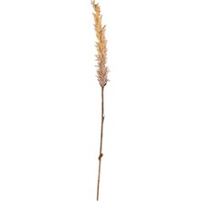 Marmara Avm Kvist Grasses Light Decor, 100 Cm, Doğal