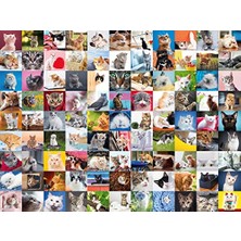 Marmara Avm 1500 Parça Puzzle 99 Kedi