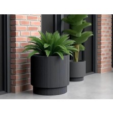 Marmara Avm Vega Vazo x 20 L 31,5 cm 32 cm Hazneli Saksı