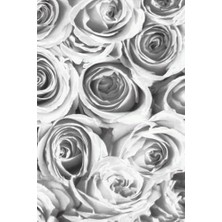 Marmara Avm EFL074 Desenli Yapışkanlı Kaplama Folyosu, 45 cm x 2 mt