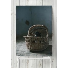 Marmara Avm (PSTER5739) Köpek Hayvan Poster 3 (50X70 Cm)