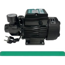 Taifu QB61 S Su Motoru 0.5 Hp 220V %100 Bakır Sargı Yüksek Basma Gücü 40 M