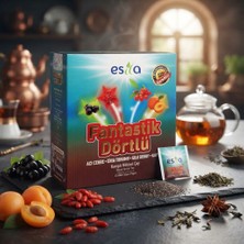 Çamlıca Bitkisel Aktar Fantastik Dörtlü (Yaz Çayı) Karışık Bitkisel Çayı 45 Li 90 gr