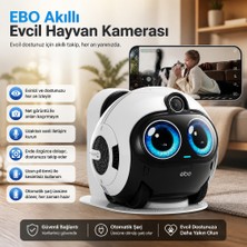 Enabot Ebo Aı Aile Robotu "görüntüleri Buluta Değil Sd Karta Saklayın"