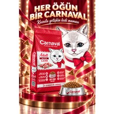 Kaliteli Ekonomik Paket Yetişkin Kedi Maması Kuzu Etli 2X15 kg