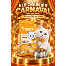Carnaval Tavuklu Yetişkin Kedi Maması 3kg (2x1.5kg)