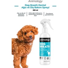 Animology Dog Breath Dental Köpek Ağız ve Diş Bakım Spreyi 250 ml