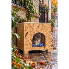 Reyo Kedi Evi Dış Ortam Uygun Ahşap Kedi Evi Osb Minderli 40X37X34 cm - CAT47M