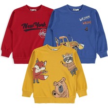 Civil Boys 3'lü Baskılı Basic 2-5 Yaş Sweatshirt