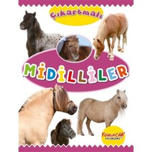 Yumurcak Yayınları Çıkartmalı Midilliler