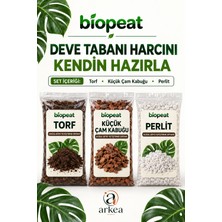 Biopeat Deve Tabanı Harcını Kendin Hazırla 3 L