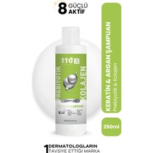 Tto-X Prebiyotik & Kolajen Keratin ve Argan 250ML  ( Cocamidopropyl,butyrospermum,niacinamide,)
