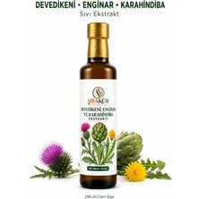 Şifakür Bitkisel Sağlık Ürünleri Enginar Devedikeni Karahindiba Sıvı Ekstraktı 250 ml