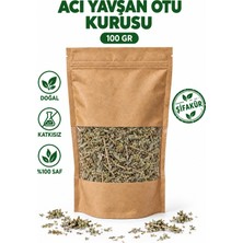 Şifakür Bitkisel Sağlık Ürünleri Acı Yavşan Otu Pelin Otu Kurusu 100 gr