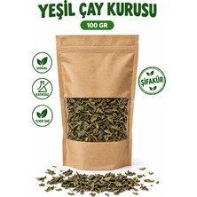 Şifakür Bitkisel Sağlık Ürünleri Yeşil Çay Kuru Yeşil Çay Yaprağı 100 gr