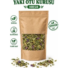 Şifakür Bitkisel Sağlık Ürünleri Yakı Otu Kurusu Yakıotu Bitkisi 100 gr