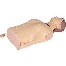 EgeAnatomi Maketleri Yetişkin Yarım Beden Cpr Maketi - Cpr Mankeni, Sesli Uyarılı