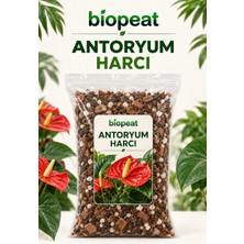 Biopeat Antoryum Harcı 3 Litre | Antoryum Için Torf, Küçük Kabuk ve Perlit Karışımı