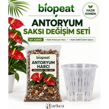 Biopeat Antoryum Harcı 3 Litre + Delikli Üretim Saksısı | Antoryum Için Saksı Değişim Seti