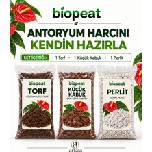Biopeat Antoryum Harç Hazırlama Seti Toplam 3 Litre | Torf, Küçük Kabuk ve Perlit 3 Ayrı Paket