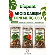 Biopeat Aroide Harç Deneme Üçlüsü Toplam 3 Litre | Deve Tabanı, Antoryum ve Filodendron Için 3 Ayrı Harç