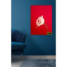Şehzat Design Melted Rose Dekoratif Kanvas Tablo
