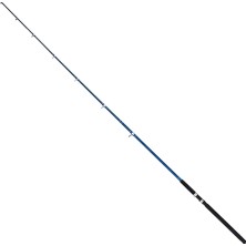 Remixon Remıxon Blue Bırd 3.00M 100-200GR 2p Kamış
