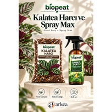 Biopeat Kalatea Harcı 5 Litre + Spray Max | Kalatea Için Harç ve Bitki Bakım Seti