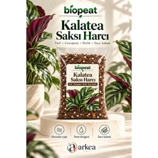 Biopeat Kalatea Saksı Harcı 7 Litre | Kalatea Için Torf, Cocopeat, Perlit ve Ince Kabuk Karışımı