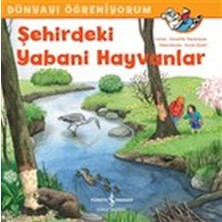 İş Bankası Kültür Yayınları Şehirdeki Yabani Hayvanlar - Dünyayı Öğreniyorum