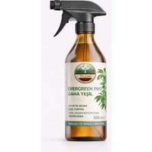 Tarm Yeşil Bitkiler Için Sıvı Bitki Besini - Evergreen Pro (500 ml Sprey)