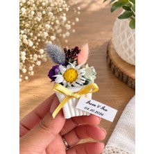 Elit Nikah Şekerleri 25 Adet Saksıda Çiçek Hediyelik Magnet