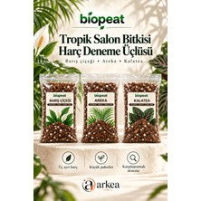 Biopeat Tropik Salon Bitkisi Harç Deneme Üçlüsü Toplam 3 Litre | Barış Çiçeği, Areka ve Kalatea Için