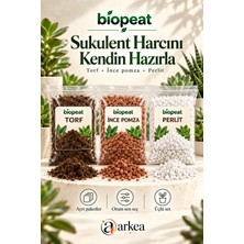Biopeat Sukulent Harcını Kendin Hazırla Seti Toplam 7 Litre | Torf, Ince Pomza ve Perlit 3 Ayrı Paket