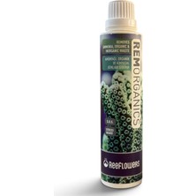 ReeFlowers Remorganıcs