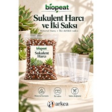 Biopeat Sukulent Harcı 3 Litre + 2 Delikli Küçük Saksı | Mineral Karışımlı Saksı Değişim Seti