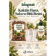 Biopeat Kaktüs Harcı 3 Litre + Delikli Küçük Saksı ve Kaktüs Bitki Besini | Saksı Değişim ve Bakım Seti