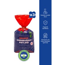 Ots Organik 3'lü Karabuğday Patlağı Seti - 3 x 60 gr (Organik Sertifikalı, Pestisit Analizli)
