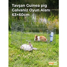 Tavşan ve Guinea Pig Galvaniz Oyun Alanı 63X60 cm