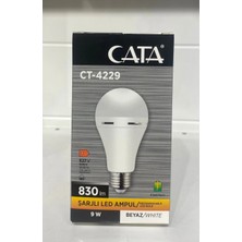 Cata CT-4229 Ampul 2 Adet