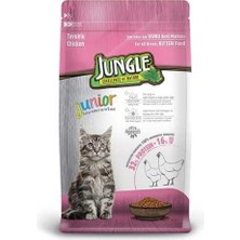 Jungle Yavru Kedi Maması Tavuklu 500 gr 1 Adet